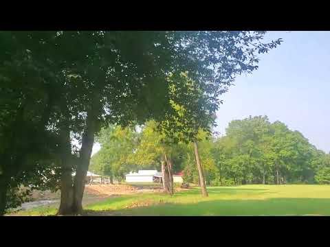 YouTube preview